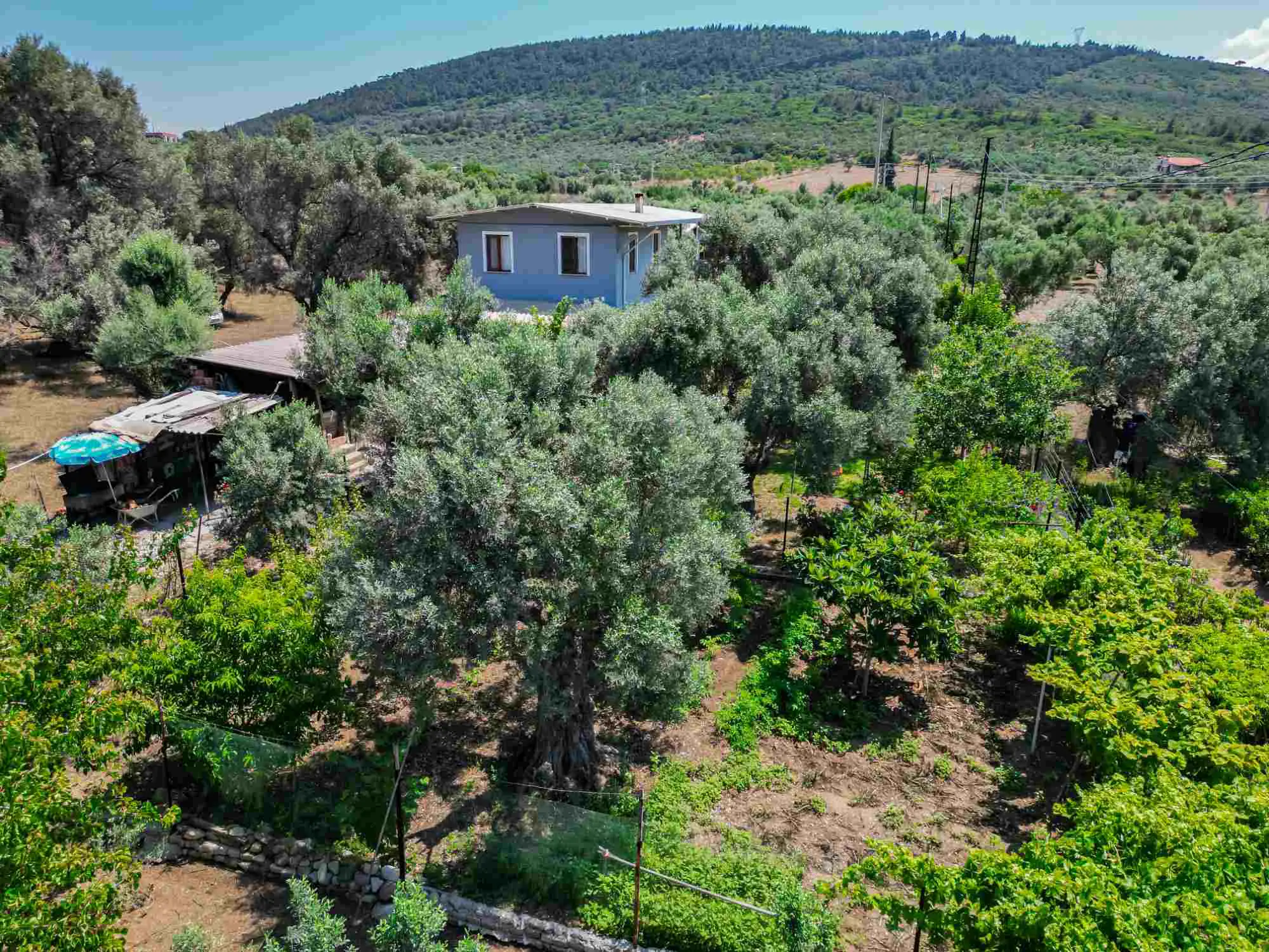 Property image 23