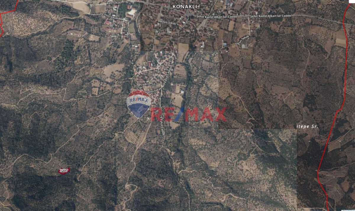 ÖDEMIŞ ADAGÜME MAHALLESI KARAHASANDERESI MEVKIINDE SATILIK ZEYTINLIK