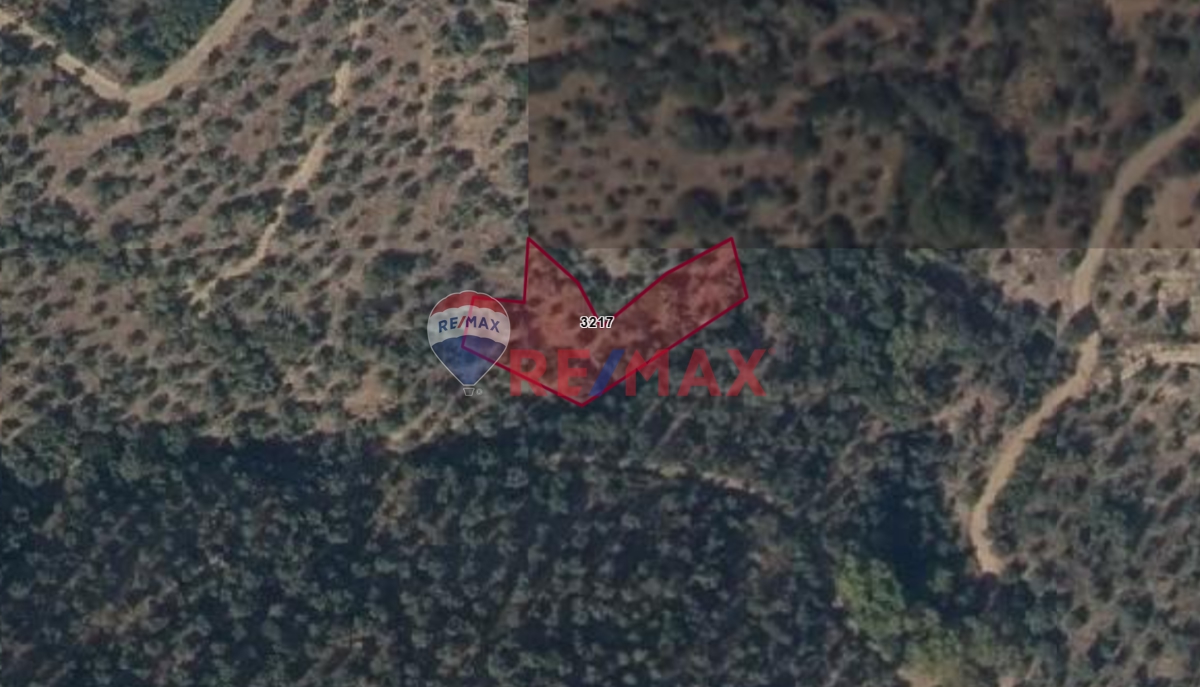 ÖDEMIŞ ADAGÜME MAHALLESI KARAHASANDERESI MEVKIINDE SATILIK ZEYTINLIK