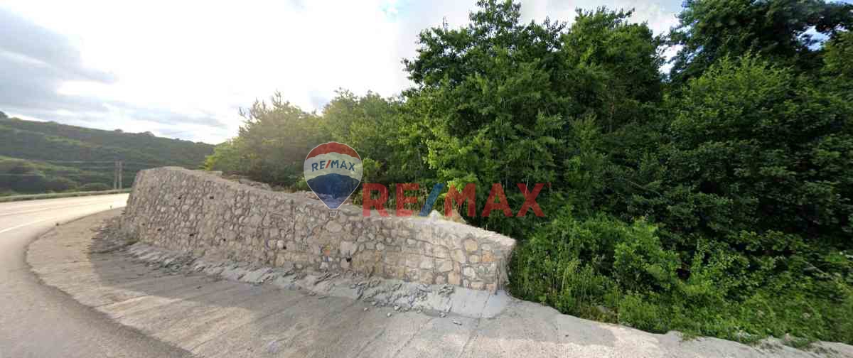 SATILIK DENIZ KIYISINDA FINDIK BAHÇESI