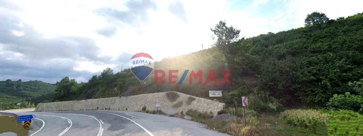 SATILIK DENIZ KIYISINDA FINDIK BAHÇESI