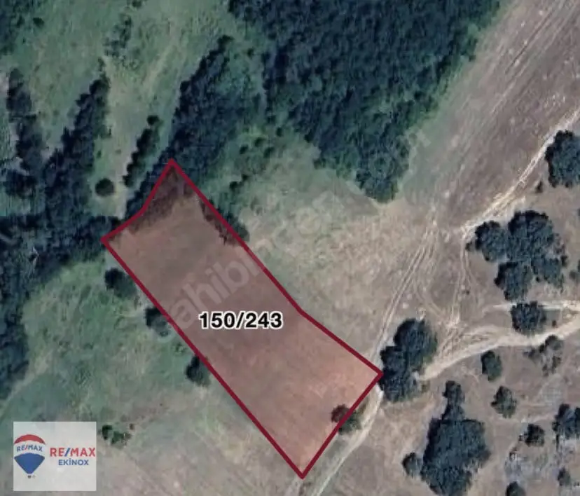 KURUDERE KÖYÜNDE 3.111M2 SATILIK TARLA YOLU VAR