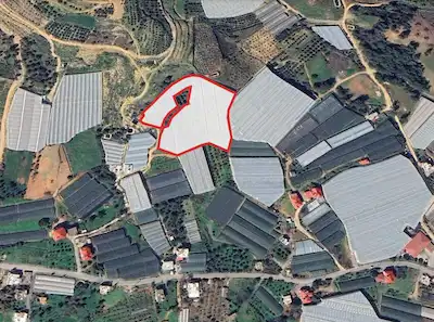MACAR'DA 11.590 M² HAZIR KURULU DÜZEN KAPALI MUZ SERASI 