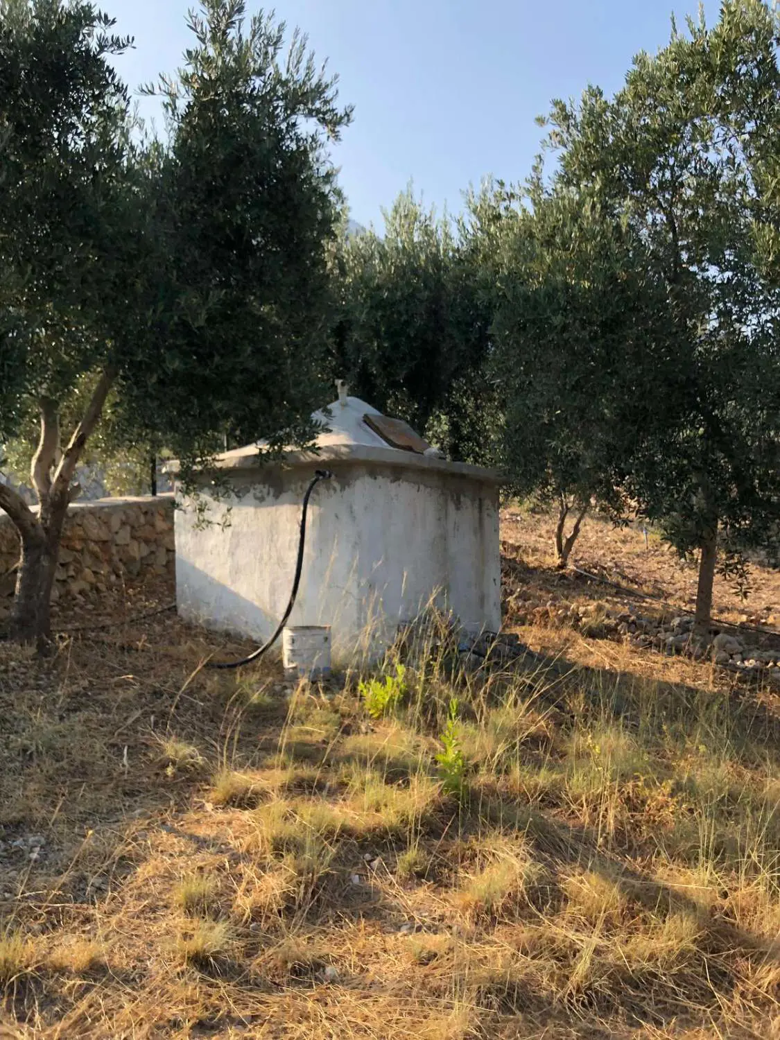 Property image 22