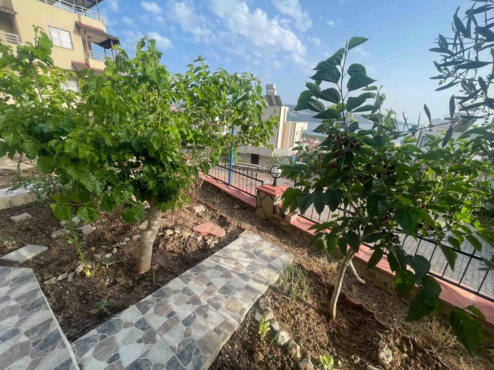 Property image 18