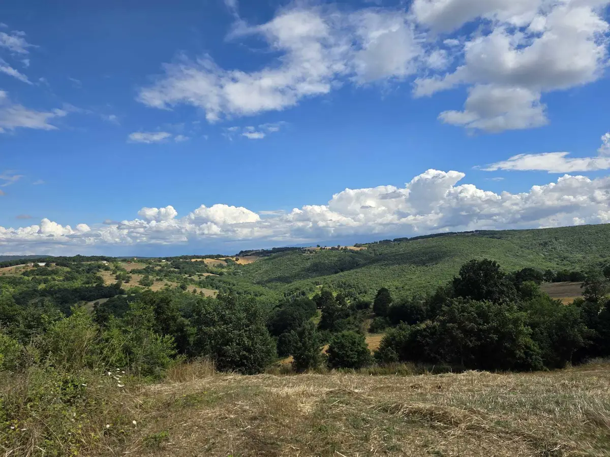 İZMİT KAYNARCA TOPALLAR MEVKİ 119/181 SATILIK 351M2 TARLA
