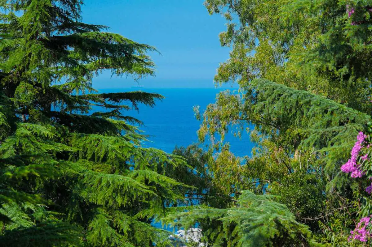 BÜYÜKADA’DA EŞSİZ MİMARİYE SAHİP, GÜNÜMÜZ KONFORUYLA YENİLENMİŞ SATILIK TARİHİ KÖŞK