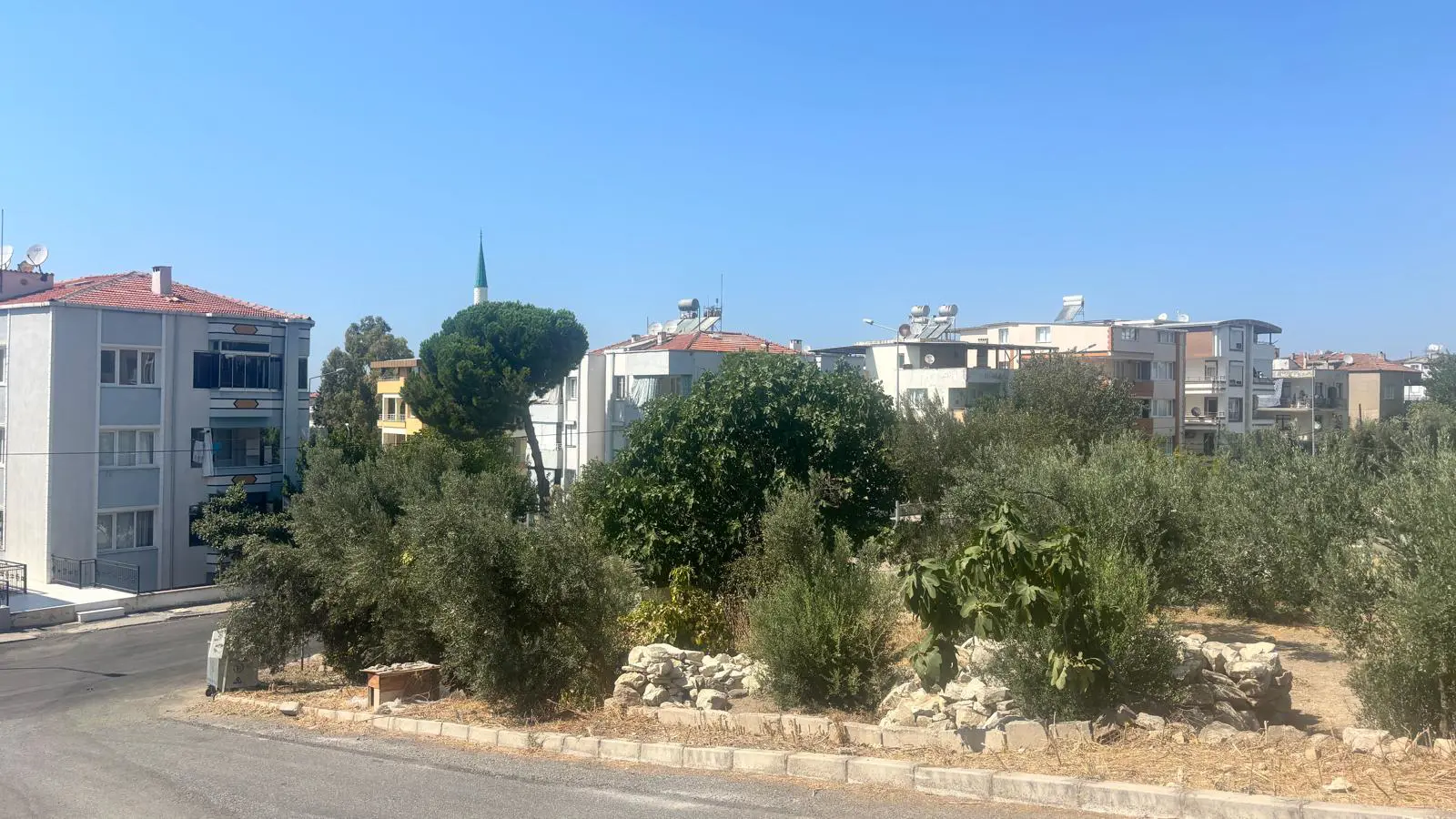 Property image 19