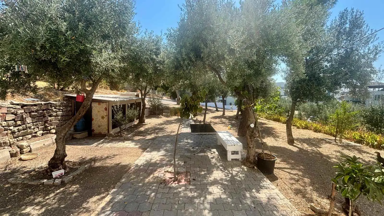 Property image 22