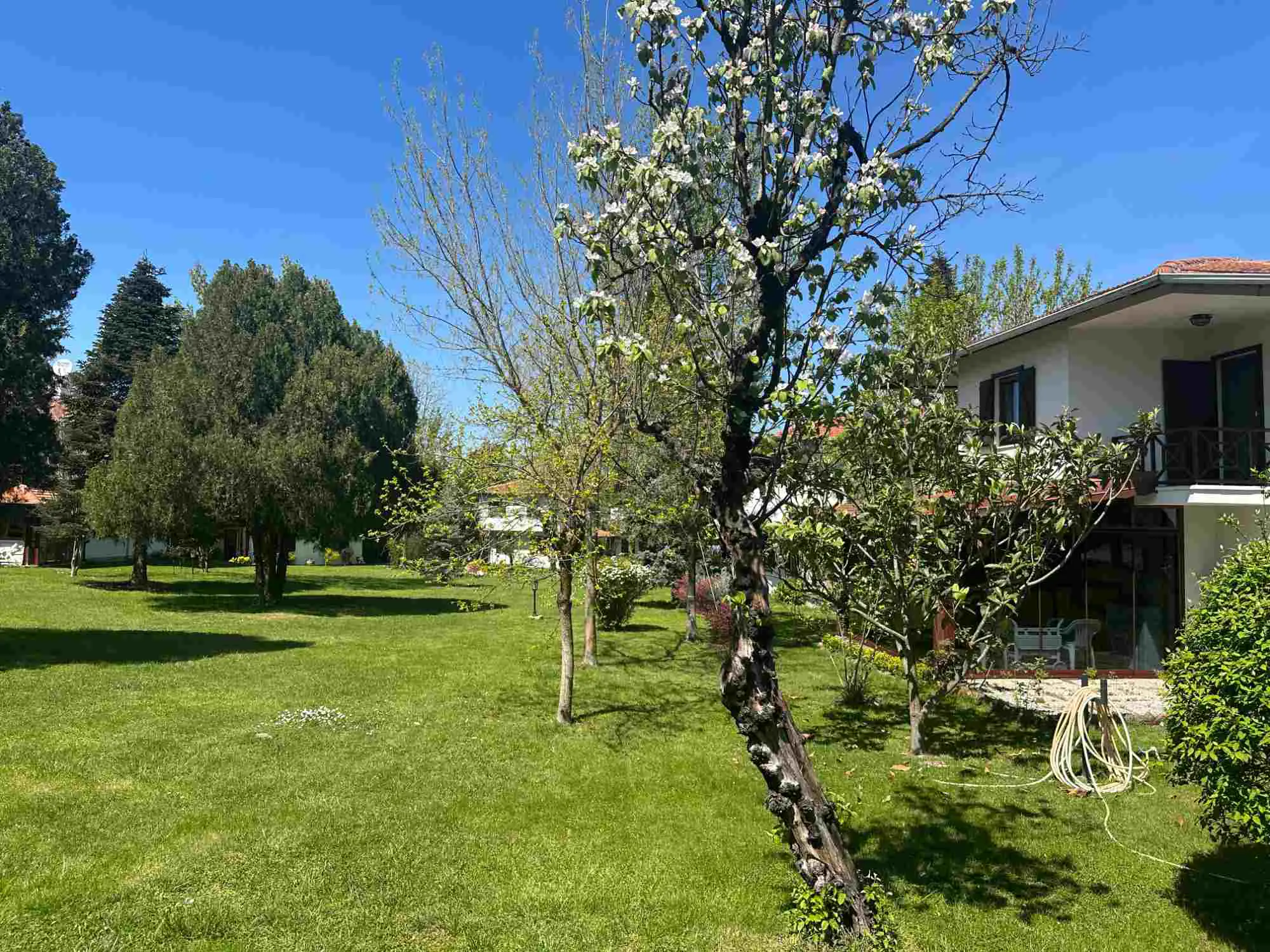 Property image 56