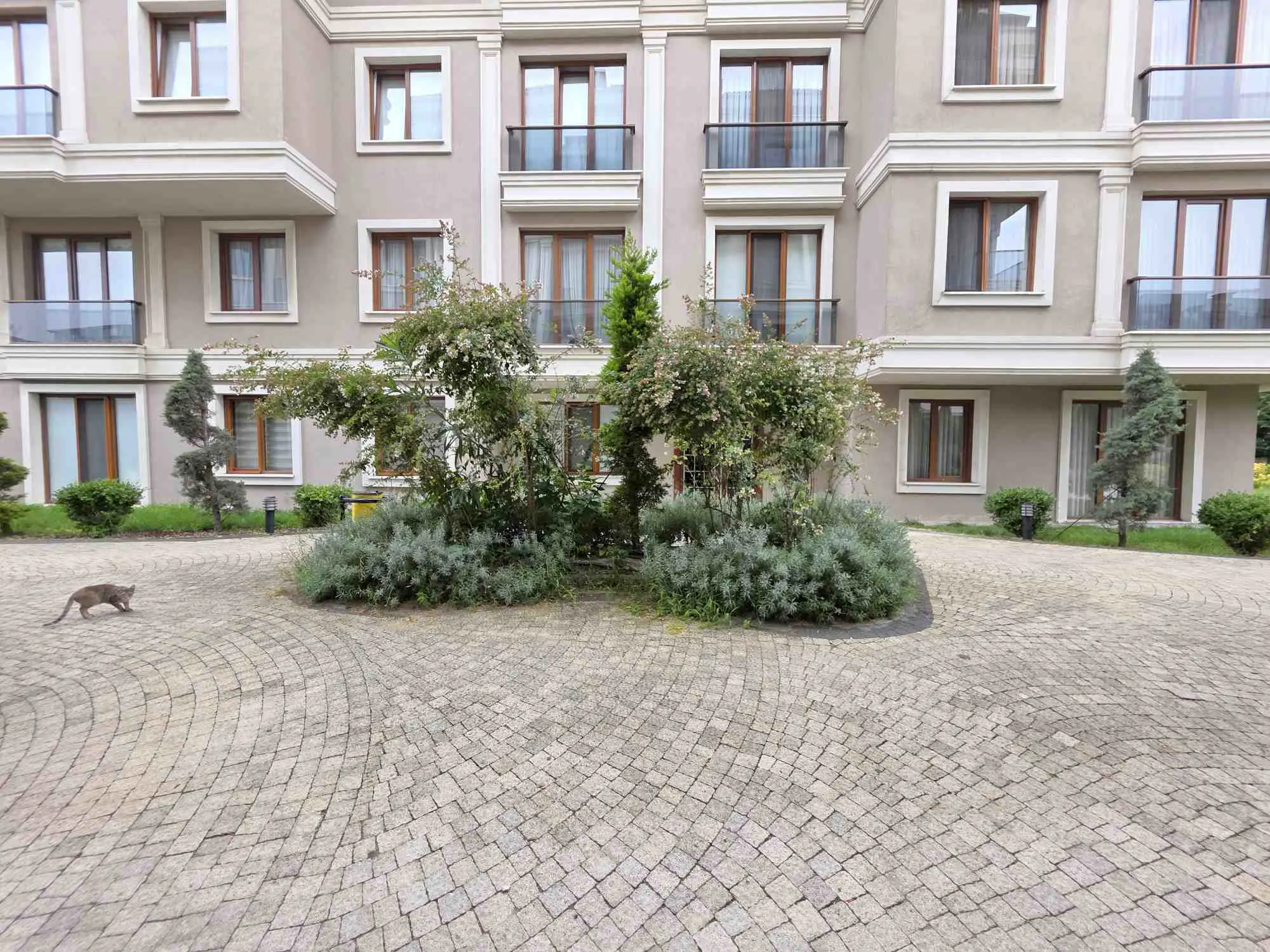 Property image 45
