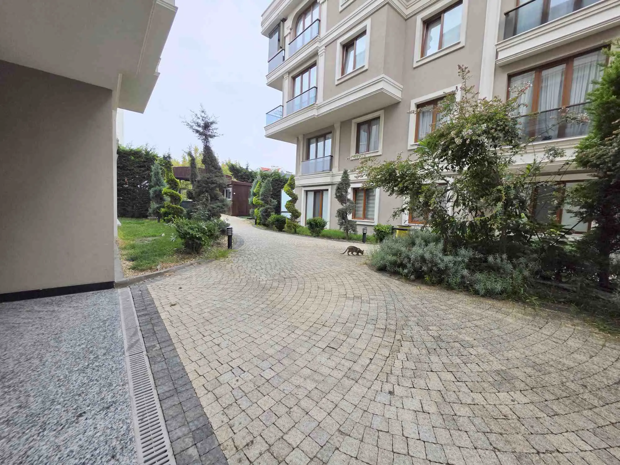 Property image 47